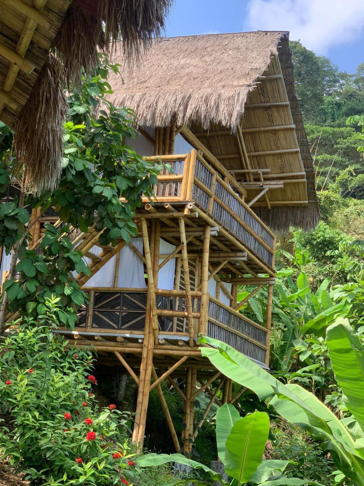 Niuwi Hostel Buritaca Eksteriør billede